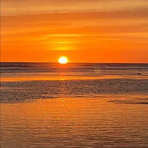 Meet your Posher, Grayson